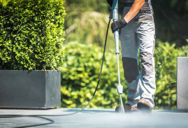 Best Driveway Pressure Washing  in Hinckley, IL