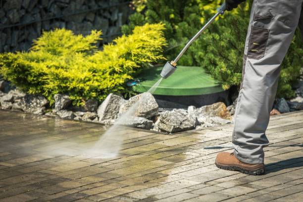 Best Sidewalk and Walkway Cleaning  in Hinckley, IL