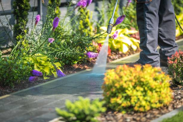 Best Gutter Cleaning  in Hinckley, IL