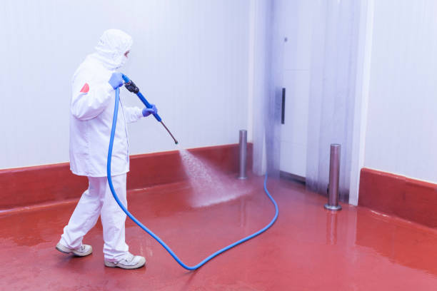 Best Pre-Holiday Cleaning  in Hinckley, IL